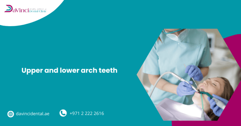 Upper and Lower Arch Teeth